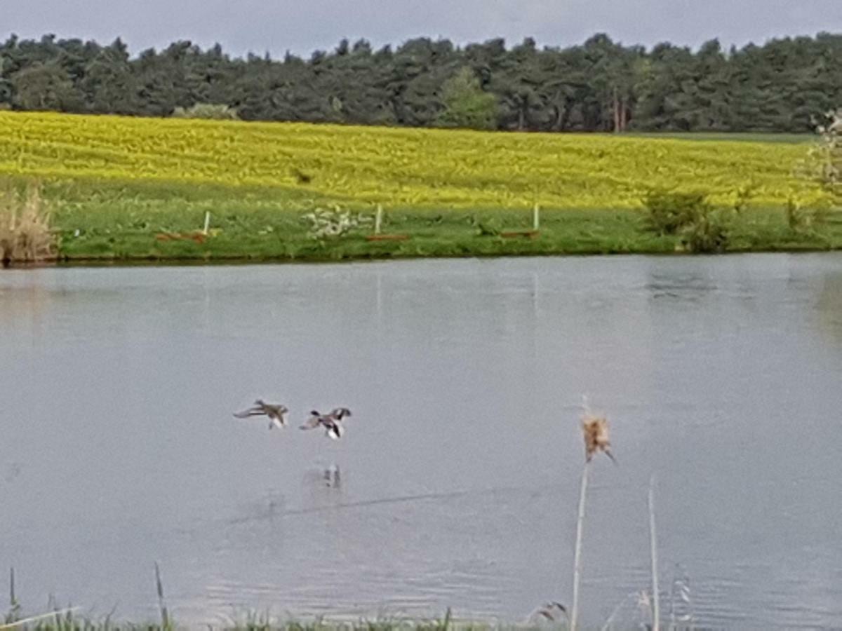 Stawy U Sikory - Dom Rybak - Agroturystyka I Lowisko Nowa Wies  Exterior foto
